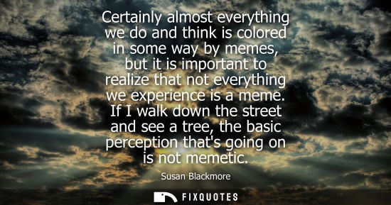 Small: Certainly almost everything we do and think is colored in some way by memes, but it is important to rea
