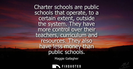 Small: Charter schools are public schools that operate, to a certain extent, outside the system. They have more contr