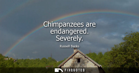 Small: Chimpanzees are endangered. Severely