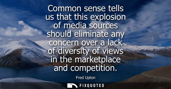 Small: Common sense tells us that this explosion of media sources should eliminate any concern over a lack of 