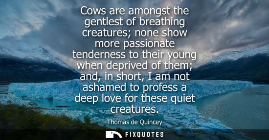 Small: Cows are amongst the gentlest of breathing creatures none show more passionate tenderness to their youn