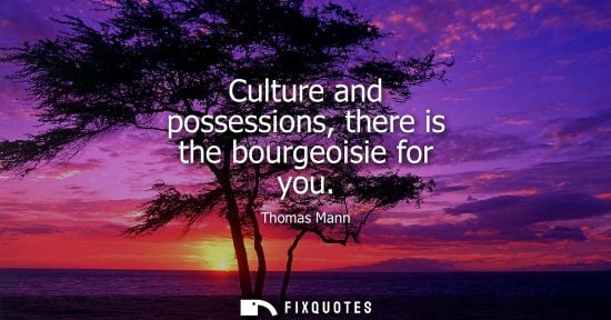 Small: Culture and possessions, there is the bourgeoisie for you - Thomas Mann
