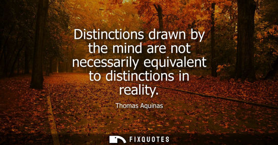 Small: Distinctions drawn by the mind are not necessarily equivalent to distinctions in reality