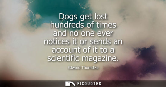 Small: Dogs get lost hundreds of times and no one ever notices it or sends an account of it to a scientific ma