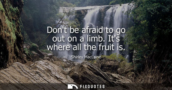 Small: Dont be afraid to go out on a limb. Its where all the fruit is - Shirley MacLaine