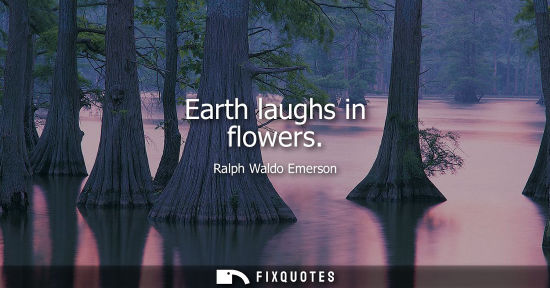 Small: Earth laughs in flowers