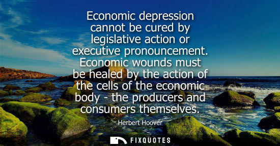 Small: Economic depression cannot be cured by legislative action or executive pronouncement. Economic wounds must be 