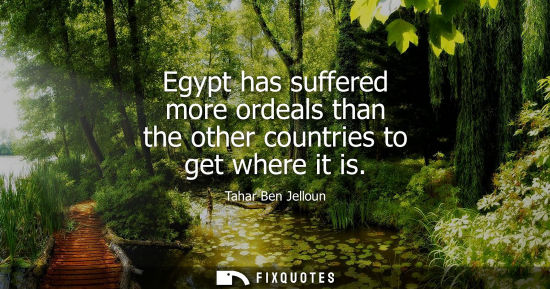 Small: Egypt has suffered more ordeals than the other countries to get where it is