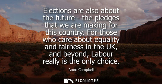Small: Elections are also about the future - the pledges that we are making for this country. For those who ca