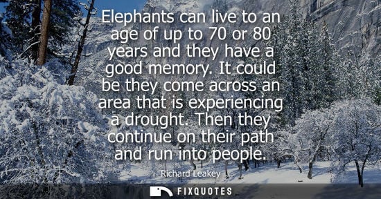 Small: Elephants can live to an age of up to 70 or 80 years and they have a good memory. It could be they come