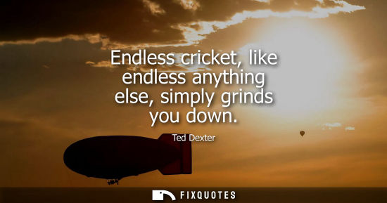 Small: Endless cricket, like endless anything else, simply grinds you down