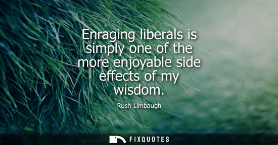 Small: Enraging liberals is simply one of the more enjoyable side effects of my wisdom