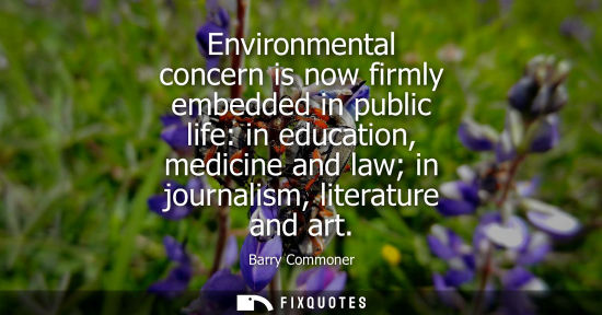 Small: Environmental concern is now firmly embedded in public life: in education, medicine and law in journali