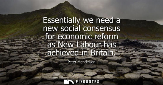 Small: Essentially we need a new social consensus for economic reform as New Labour has achieved in Britain