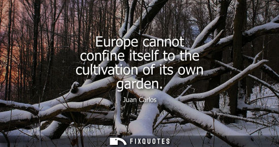 Small: Europe cannot confine itself to the cultivation of its own garden