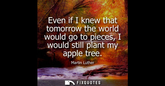 Small: Even if I knew that tomorrow the world would go to pieces, I would still plant my apple tree