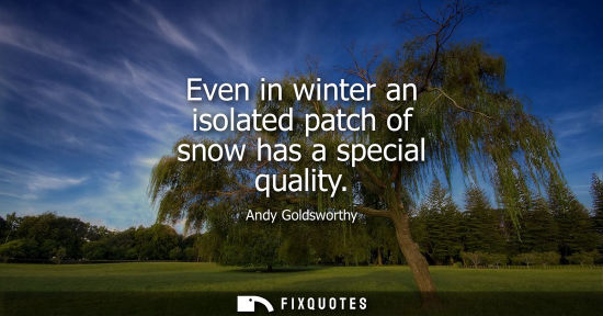 Small: Even in winter an isolated patch of snow has a special quality