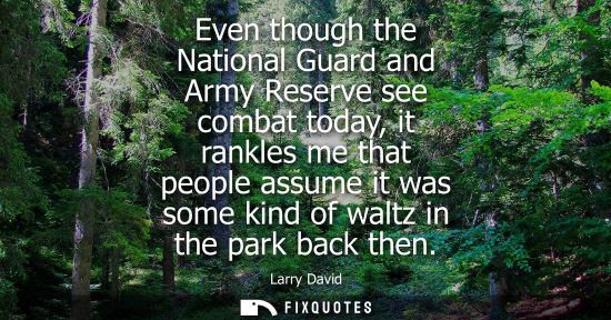 Small: Even though the National Guard and Army Reserve see combat today, it rankles me that people assume it w