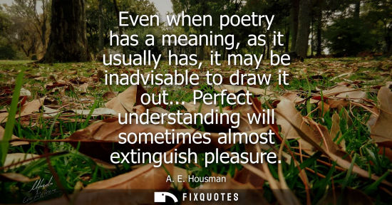 Small: Even when poetry has a meaning, as it usually has, it may be inadvisable to draw it out... Perfect understandi