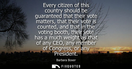 Small: Every citizen of this country should be guaranteed that their vote matters, that their vote is counted,