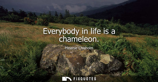 Small: Everybody in life is a chameleon