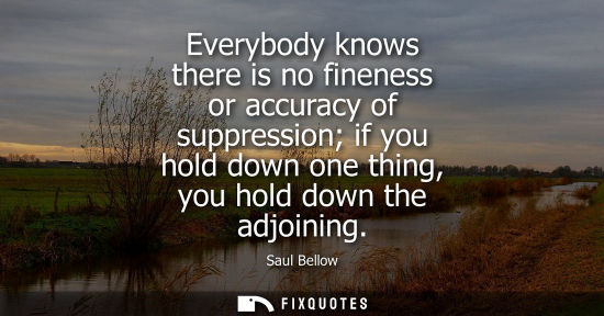 Small: Everybody knows there is no fineness or accuracy of suppression if you hold down one thing, you hold do