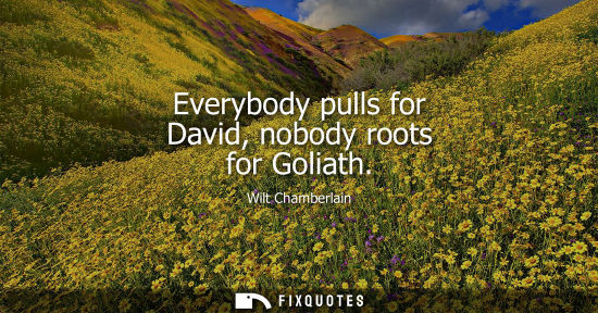 Small: Everybody pulls for David, nobody roots for Goliath