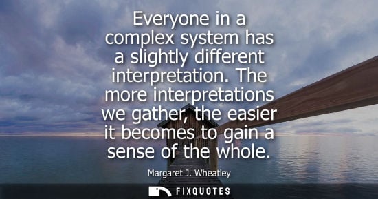 Small: Everyone in a complex system has a slightly different interpretation. The more interpretations we gathe
