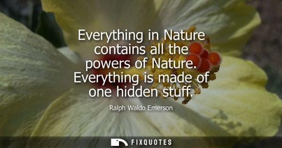 Small: Everything in Nature contains all the powers of Nature. Everything is made of one hidden stuff