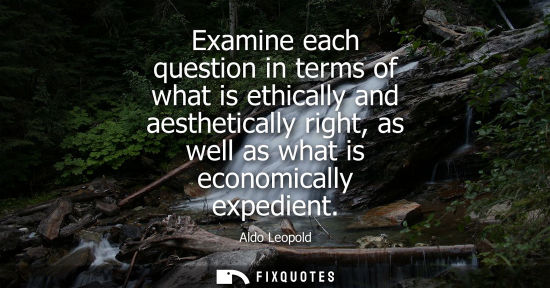 Small: Examine each question in terms of what is ethically and aesthetically right, as well as what is economically e