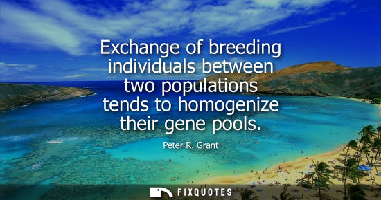 Small: Exchange of breeding individuals between two populations tends to homogenize their gene pools