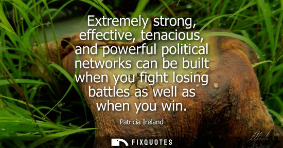 Small: Extremely strong, effective, tenacious, and powerful political networks can be built when you fight los
