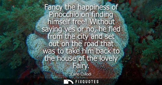 Small: Fancy the happiness of Pinocchio on finding himself free! Without saying yes or no, he fled from the ci