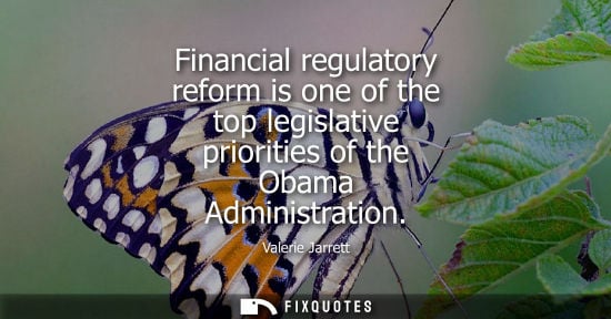 Small: Financial regulatory reform is one of the top legislative priorities of the Obama Administration