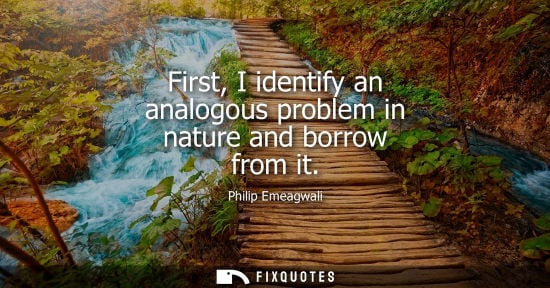 Small: First, I identify an analogous problem in nature and borrow from it
