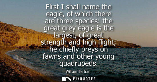 Small: First I shall name the eagle, of which there are three species: the great grey eagle is the largest, of