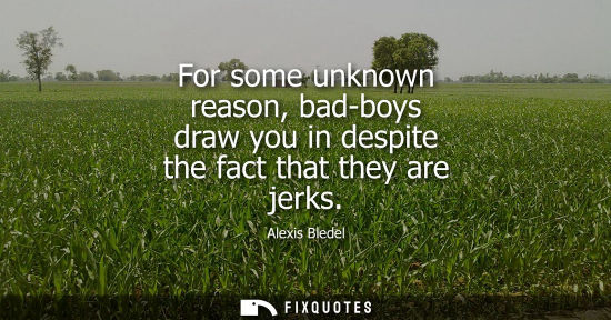 Small: For some unknown reason, bad-boys draw you in despite the fact that they are jerks
