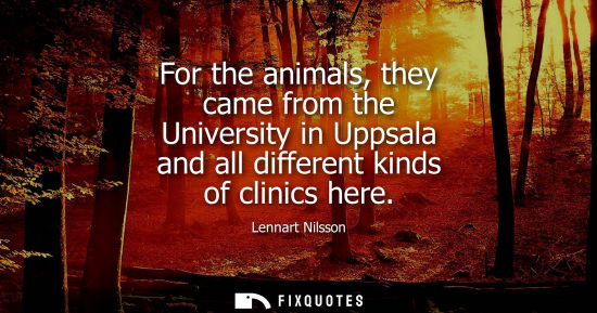Small: For the animals, they came from the University in Uppsala and all different kinds of clinics here