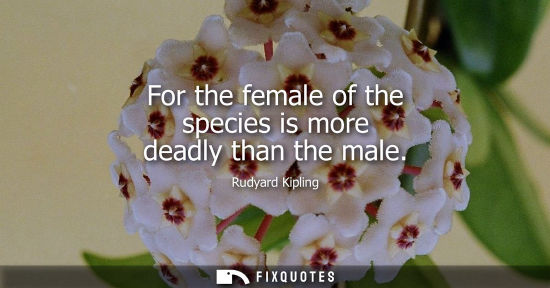 Small: For the female of the species is more deadly than the male