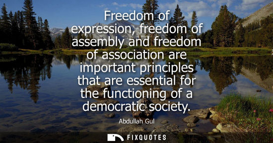Small: Freedom of expression, freedom of assembly and freedom of association are important principles that are essent