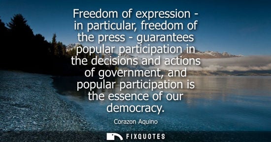 Small: Freedom of expression - in particular, freedom of the press - guarantees popular participation in the decision