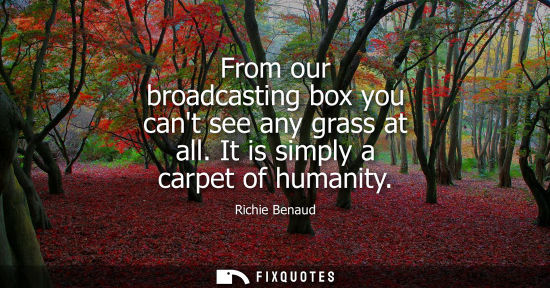 Small: From our broadcasting box you cant see any grass at all. It is simply a carpet of humanity