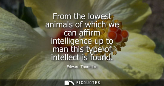 Small: From the lowest animals of which we can affirm intelligence up to man this type of intellect is found