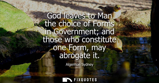 Small: God leaves to Man the choice of Forms in Government and those who constitute one Form, may abrogate it