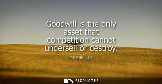 Small: Goodwill is the only asset that competition cannot undersell or destroy