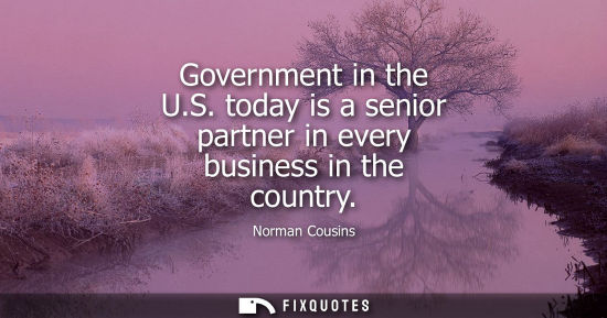 Small: Government in the U.S. today is a senior partner in every business in the country - Norman Cousins