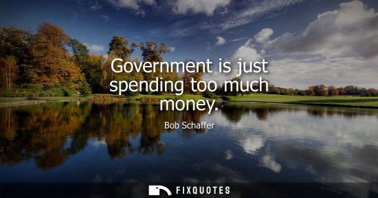 Small: Government is just spending too much money