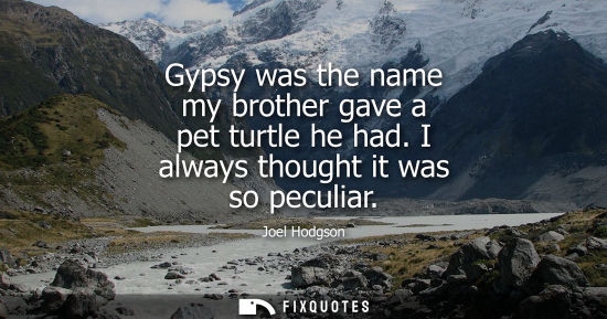 Small: Gypsy was the name my brother gave a pet turtle he had. I always thought it was so peculiar