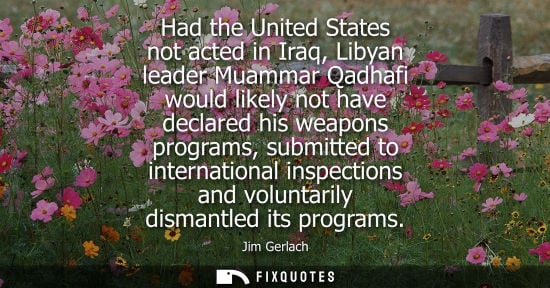 Small: Had the United States not acted in Iraq, Libyan leader Muammar Qadhafi would likely not have declared h