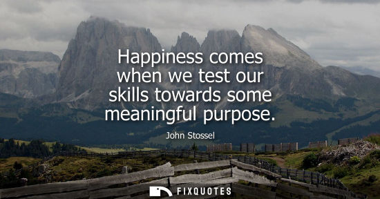 Small: Happiness comes when we test our skills towards some meaningful purpose